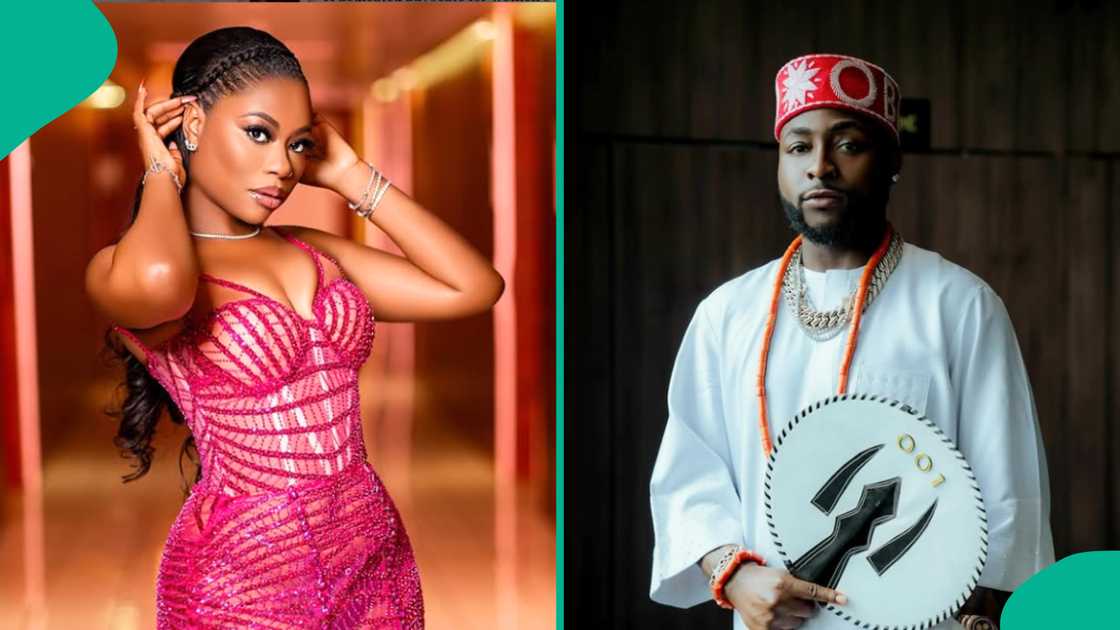 Sophia Momodu shares plan to have baby via surrogacy, shades Davido. Sophia Momodu shares plan to have baby via surrogacy, shades Davido.