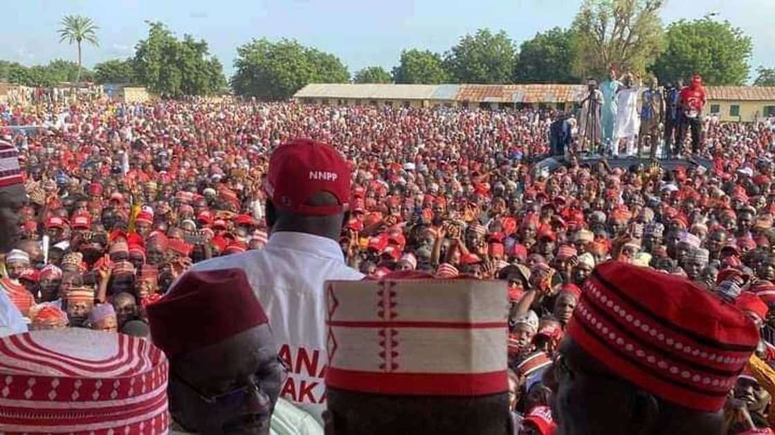 'Dan takaran Sanatan Kano a NNPP 'Dan takaran Sanatan Kano a NNPP