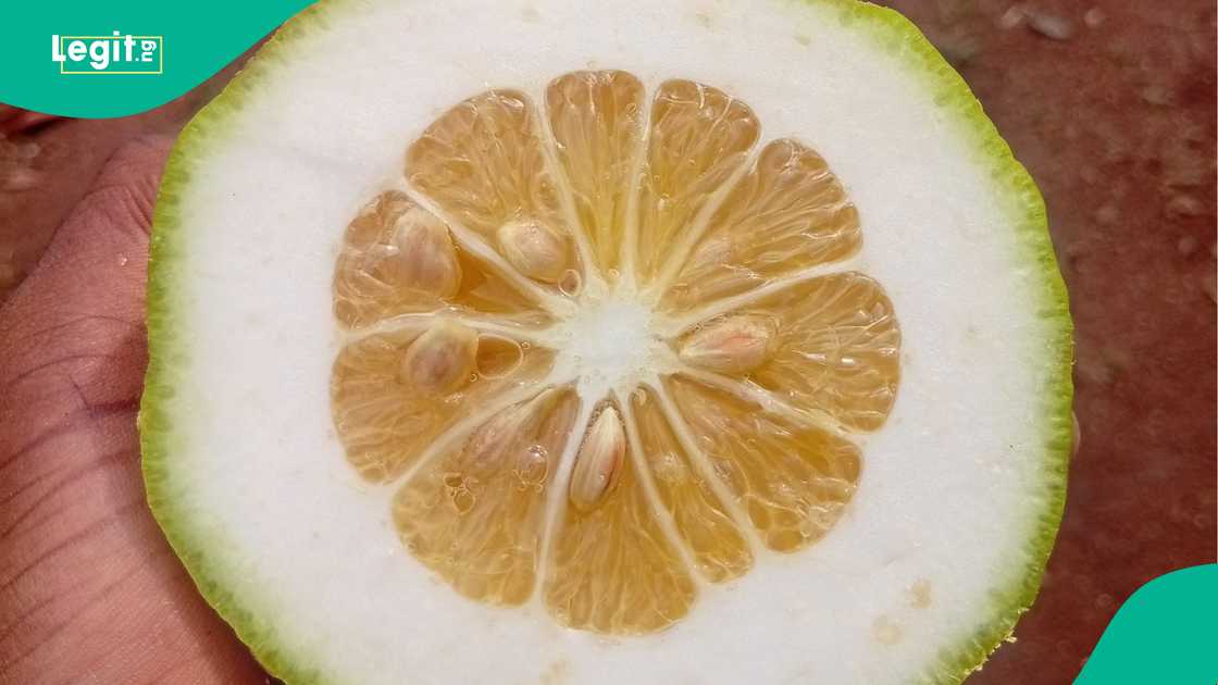 Man shares his pain online years after planting orange during lockdown. Man shares his pain online years after planting orange during lockdown.