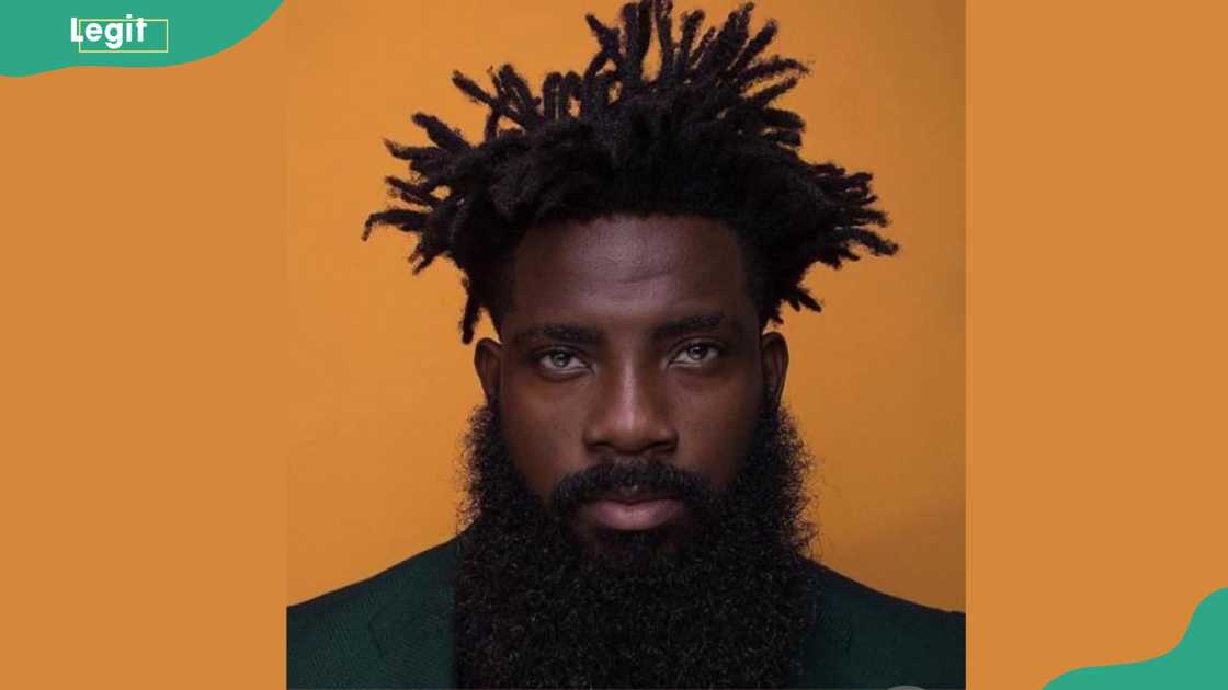 Twisted locks with rugged beard Twisted locks with rugged beard