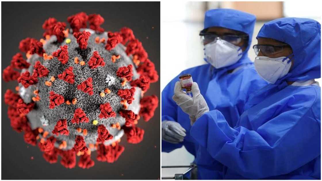 Annobar Korona Annobar Korona