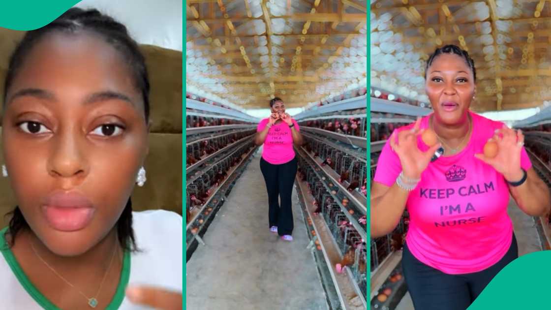 Nurse Judith Okorie returned from America to set up a poultry farm. Nurse Judith Okorie returned from America to set up a poultry farm.