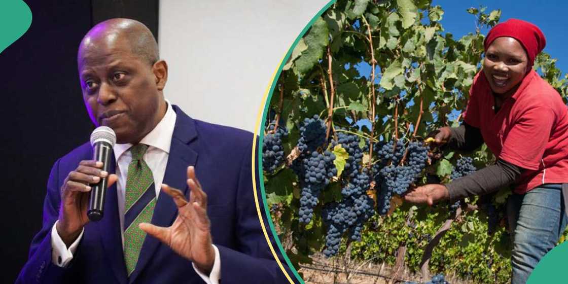 CBN restore ban CBN restore ban