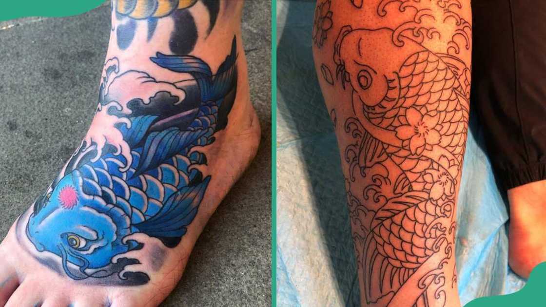Japanese koi fish Japanese koi fish