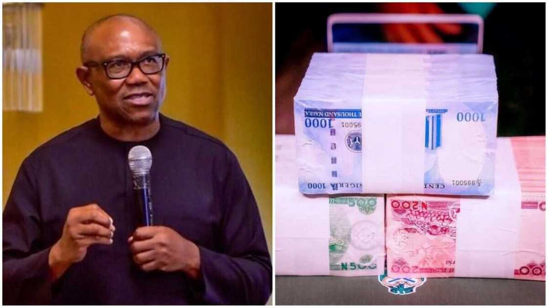 Peter Obi, Labour Party, CBN, new naira notes, 2023 presidential candidate Peter Obi, Labour Party, CBN, new naira notes, 2023 presidential candidate