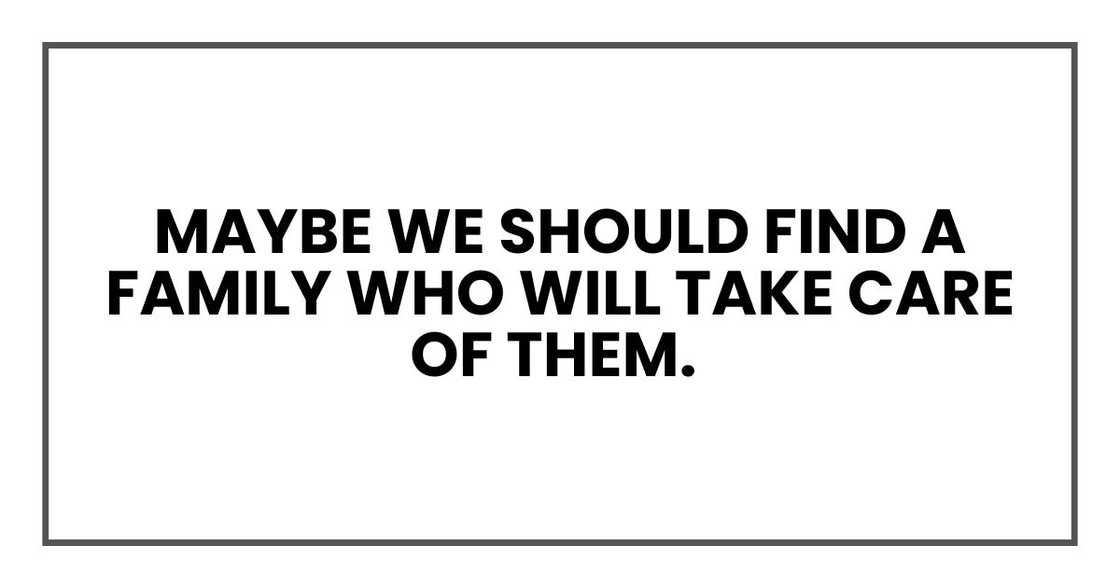 Maybe we should find a family who will take care of them. Maybe we should find a family who will take care of them.