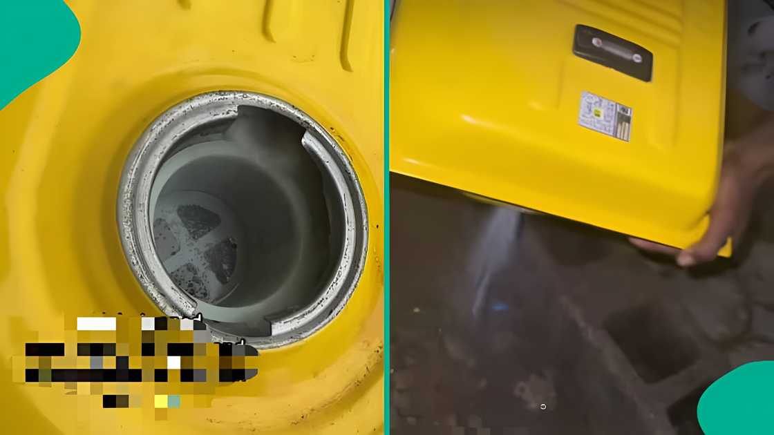 Man shares viral video after finding unusual item in generator
