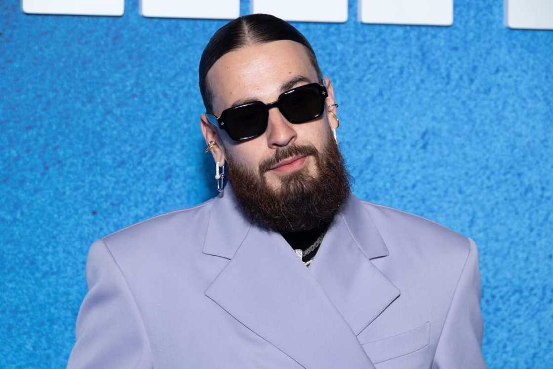 dents de sch dents de sch