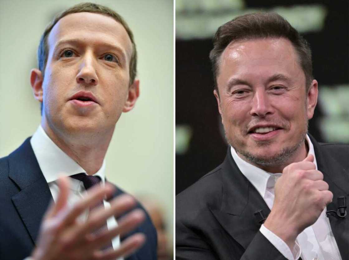 Facebook founder Mark Zuckerberg (L) and Twitter owner Elon Musk recently challenged each other to a cage fight Facebook founder Mark Zuckerberg (L) and Twitter owner Elon Musk recently challenged each other to a cage fight