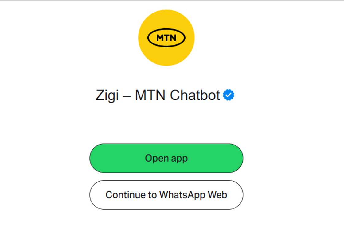 A screen displaying Zigi, MTN's automated chatbot's page. A screen displaying Zigi, MTN's automated chatbot's page.