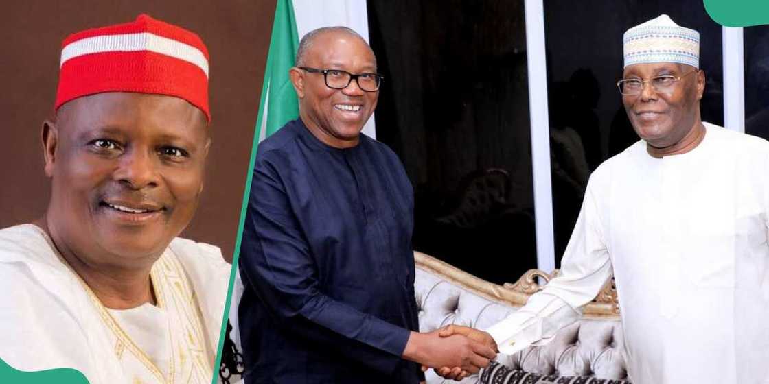 PDP chieftain speaks on Kwankwaso, Obi's possible merger with Atiku