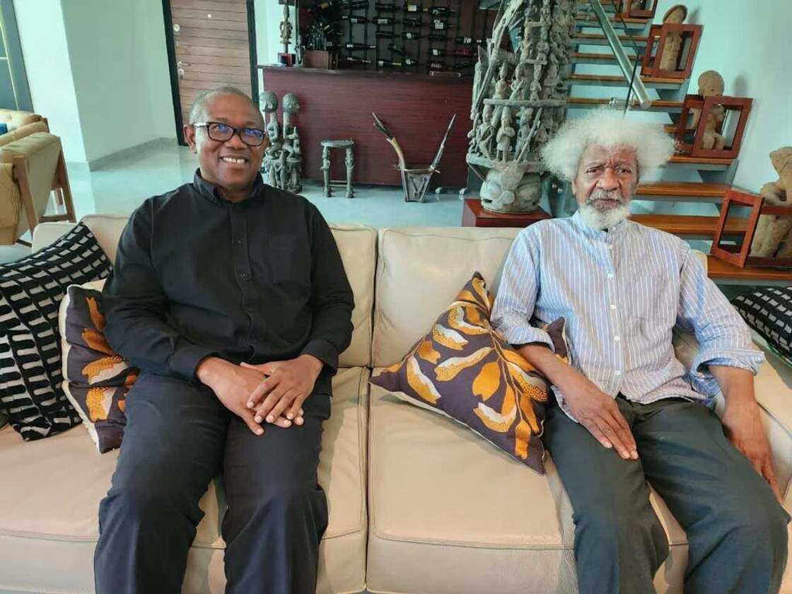 Peter Obi/Wole Soyinka/Obidients/Labour Party/2023 Presidential Election