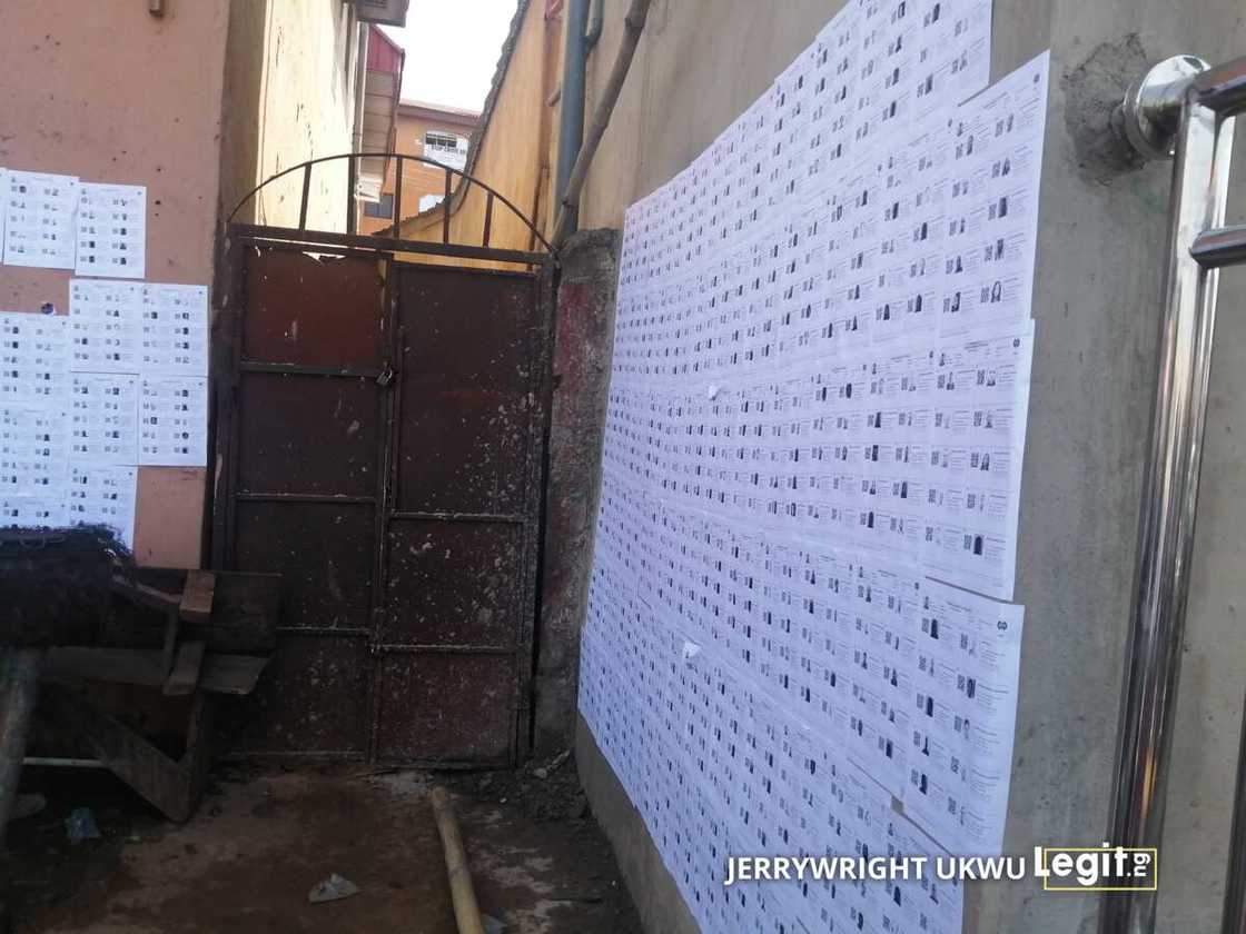 Anambra Decides 2021: Live Updates of Governorship Election as Soludo, Uba, Ozigbo, Others Battle for Votes Anambra Decides 2021: Live Updates of Governorship Election as Soludo, Uba, Ozigbo, Others Battle for Votes