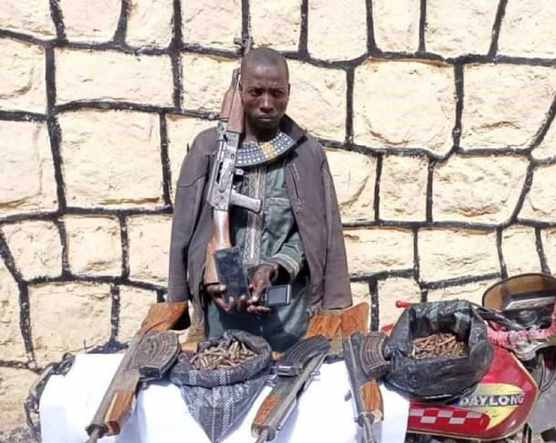 Zaria Gunrunner Zaria Gunrunner