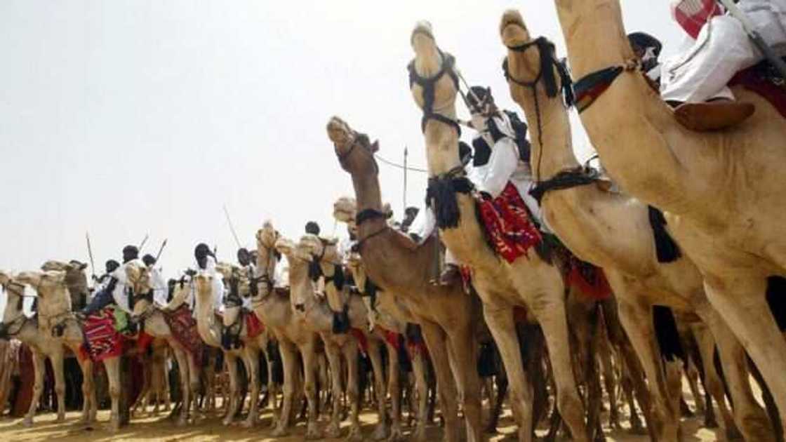 Hukumar 'yan sanda ta bayyana su waye 'yan bindigar da su ka bulla a Sokoto Hukumar 'yan sanda ta bayyana su waye 'yan bindigar da su ka bulla a Sokoto