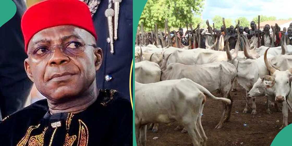 Dillalan shanu a jihar Abia sun zargi gwamnatin jihar da son korarsu babu hujja Dillalan shanu a jihar Abia sun zargi gwamnatin jihar da son korarsu babu hujja