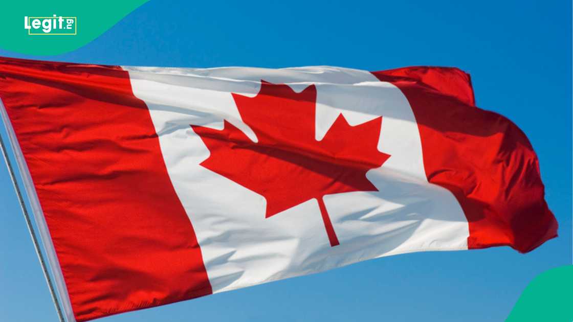 Many Nigerians like to relocate to Canada. Many Nigerians like to relocate to Canada.