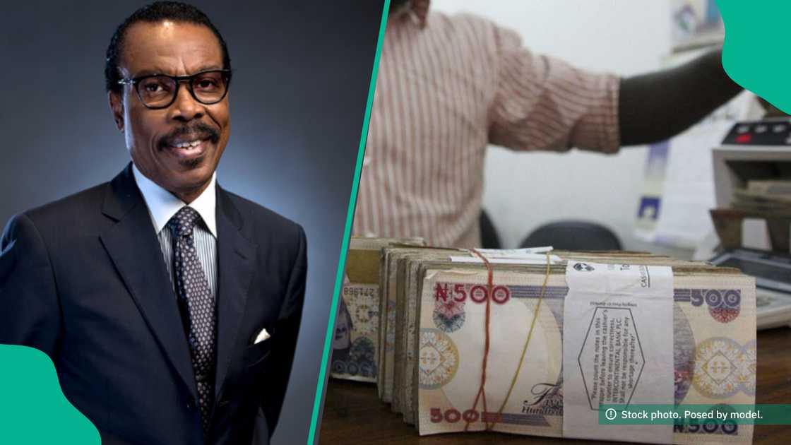 Bismark Rewane predicts new naira to dollar exchange rate Bismark Rewane predicts new naira to dollar exchange rate
