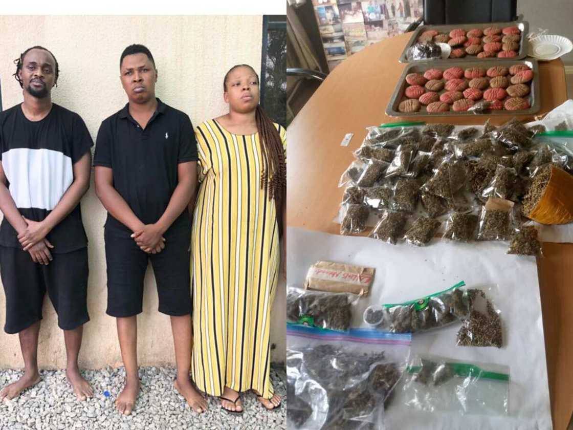 NDLEA ta bankado masu safarar miyagun kwayoyi ta yanar gizo, ta kama 5 a Abuja NDLEA ta bankado masu safarar miyagun kwayoyi ta yanar gizo, ta kama 5 a Abuja