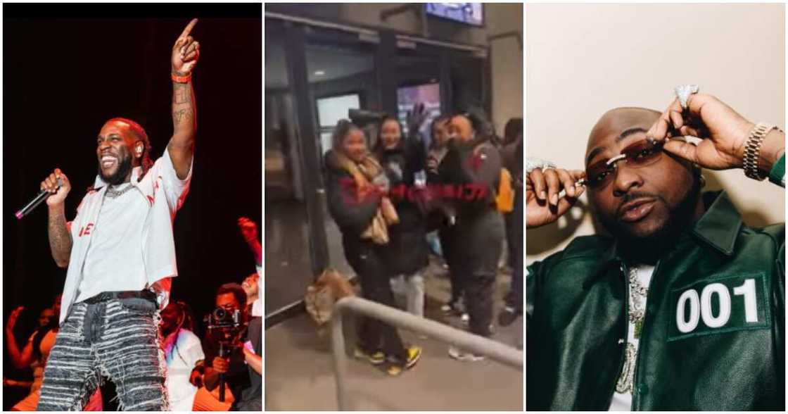 Photos of Davido, Burna Boy and some concert-goers Photos of Davido, Burna Boy and some concert-goers