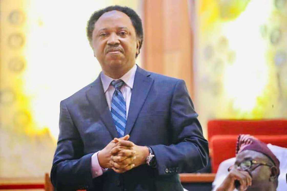 Shehu Sani reacts to abduction of primary students in Kaduna Shehu Sani reacts to abduction of primary students in Kaduna