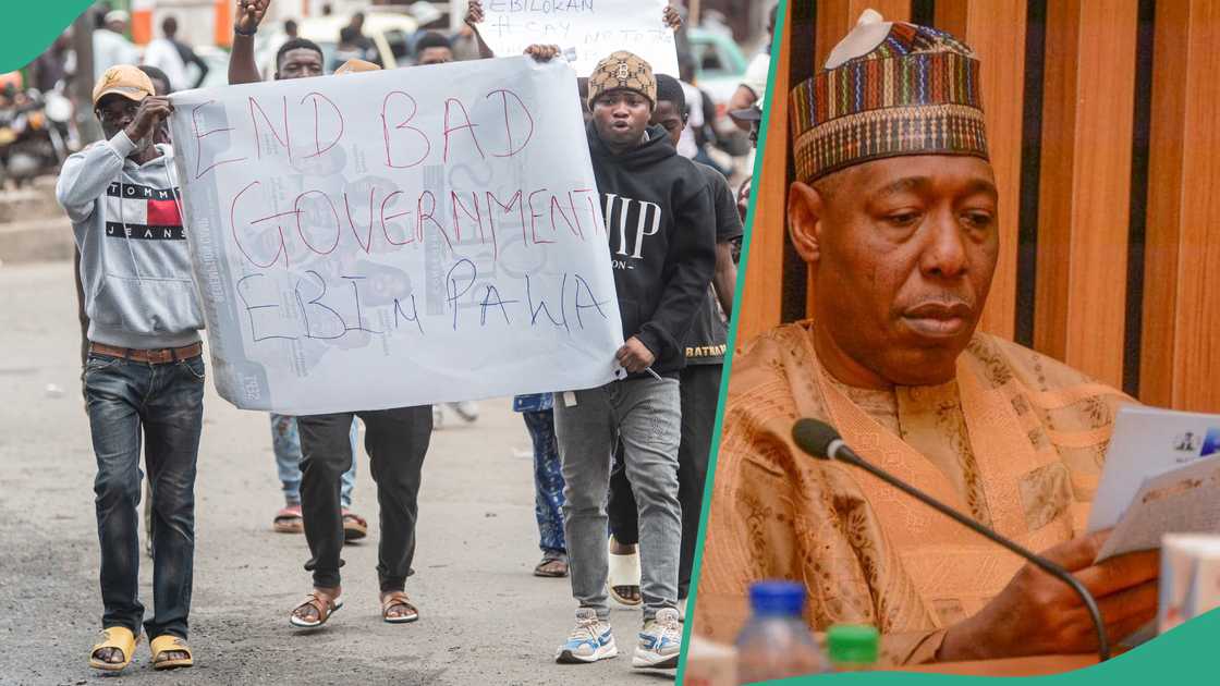 As the hunger protest continue in Nigeria, no less than four governors have declared curfews in their states. The governors are Babagana Zulum of Borno, Umar Namadi of Jigawa, Mai Mala Buni of Yobe and Radda Dikko of Katsina As the hunger protest continue in Nigeria, no less than four governors have declared curfews in their states. The governors are Babagana Zulum of Borno, Umar Namadi of Jigawa, Mai Mala Buni of Yobe and Radda Dikko of Katsina