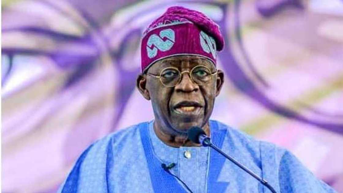 Tinubu ya matsa ya gaji Buhari, ana ta kamfen da waya