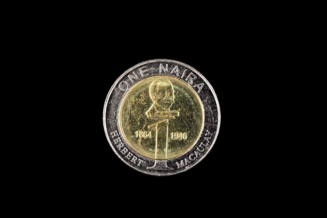 Nigerian currency coins Nigerian currency coins