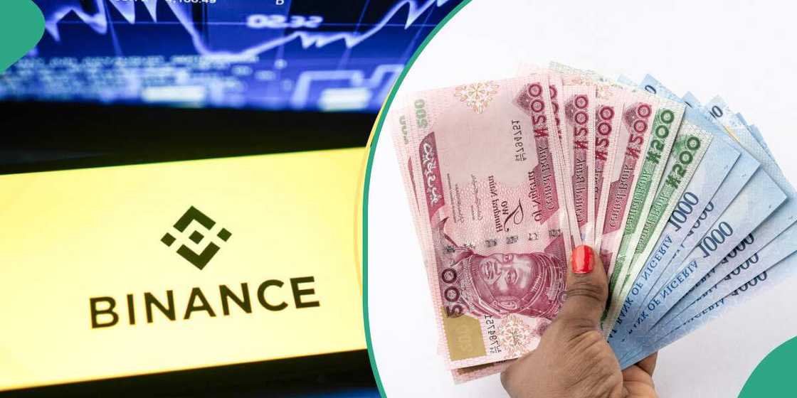 FG sues Binance for economic losses FG sues Binance for economic losses