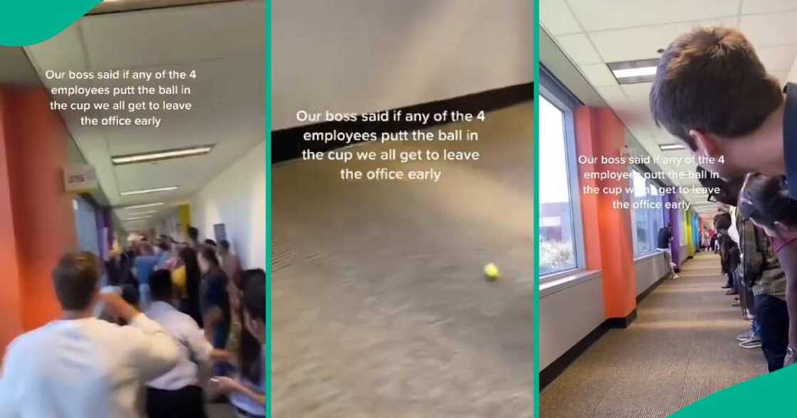Employees participated in a cup and ball challenge, wins an early work leave Employees participated in a cup and ball challenge, wins an early work leave