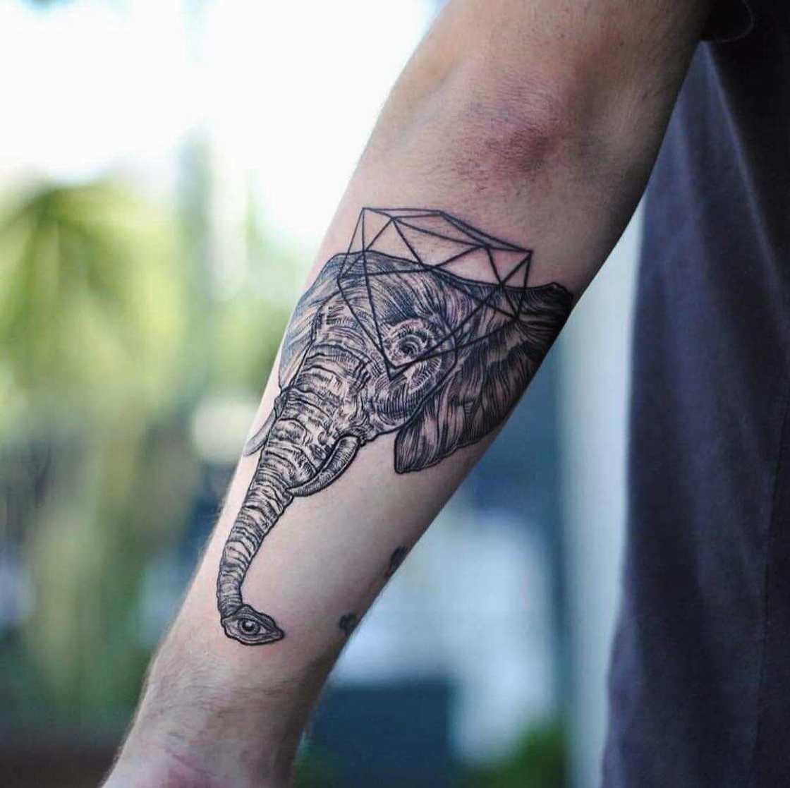 Elephant tattoos Elephant tattoos