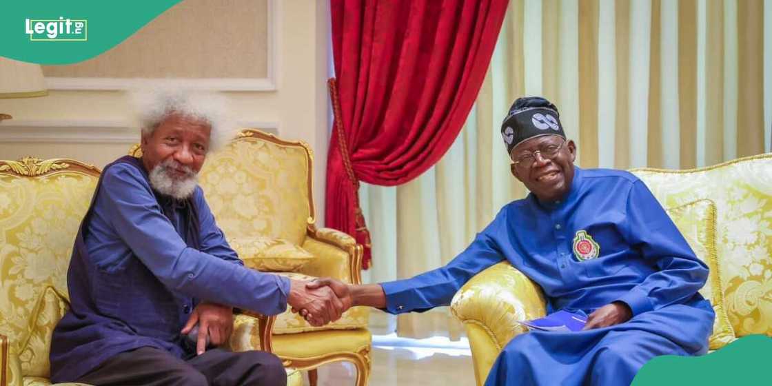 Tinubu hailed over naming FCT highway after Soyinka