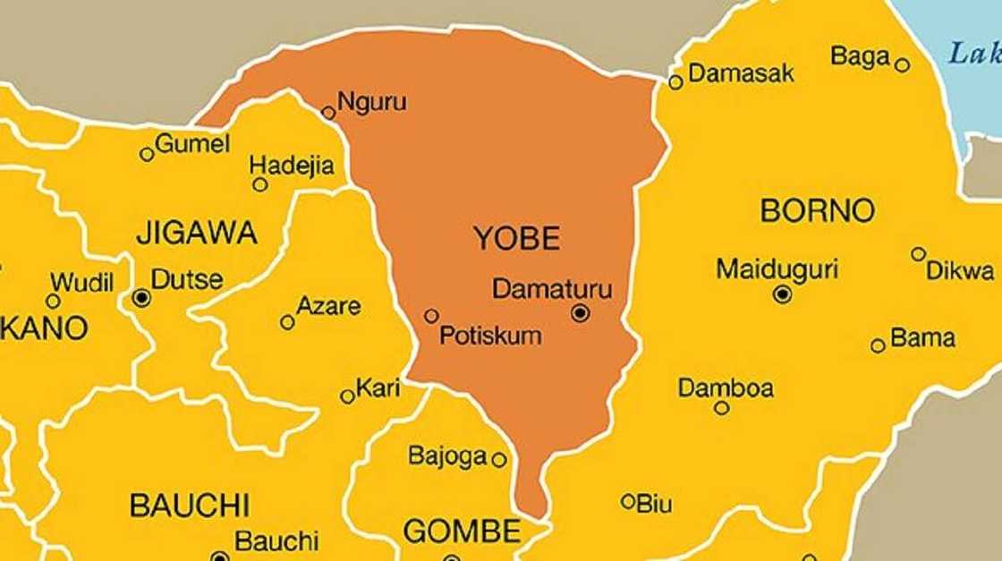 Boko Haram sun kai hari, sun kone makaranta da dakin shan magani a Yobe Boko Haram sun kai hari, sun kone makaranta da dakin shan magani a Yobe
