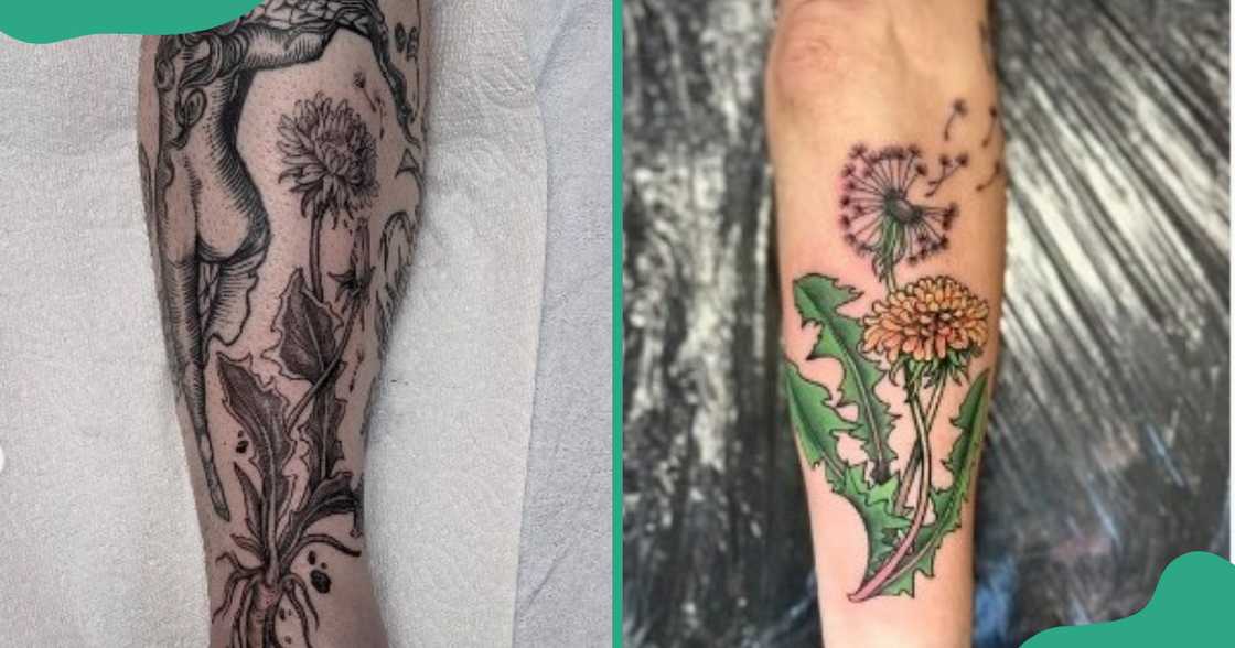 Detailed blown dandelion tattoos on the shin Detailed blown dandelion tattoos on the shin