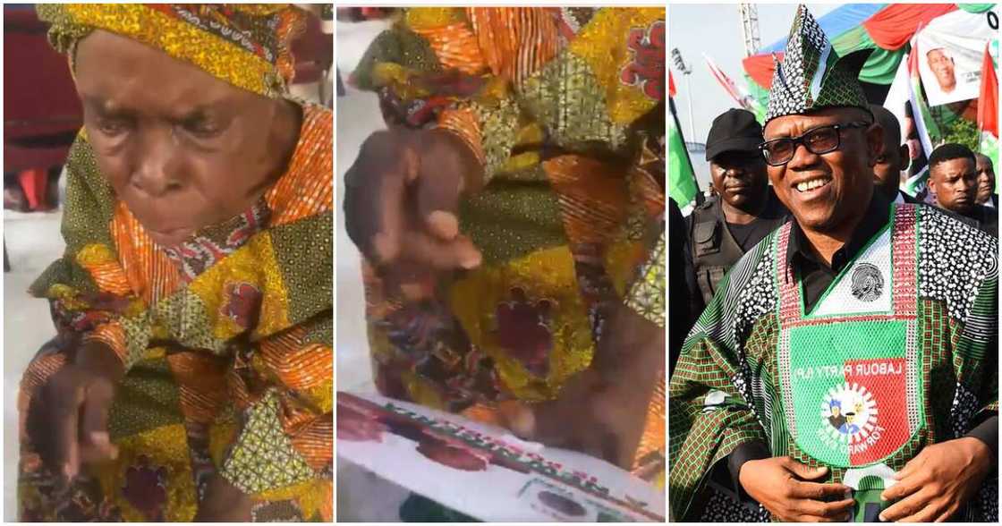 Labour Party, Peter Obi, 2023 presidential election, Yoruba elder Labour Party, Peter Obi, 2023 presidential election, Yoruba elder