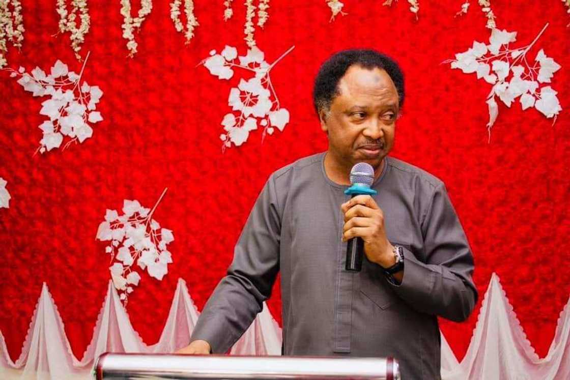 Shehu Sani resigns from PRP. Shehu Sani resigns from PRP.