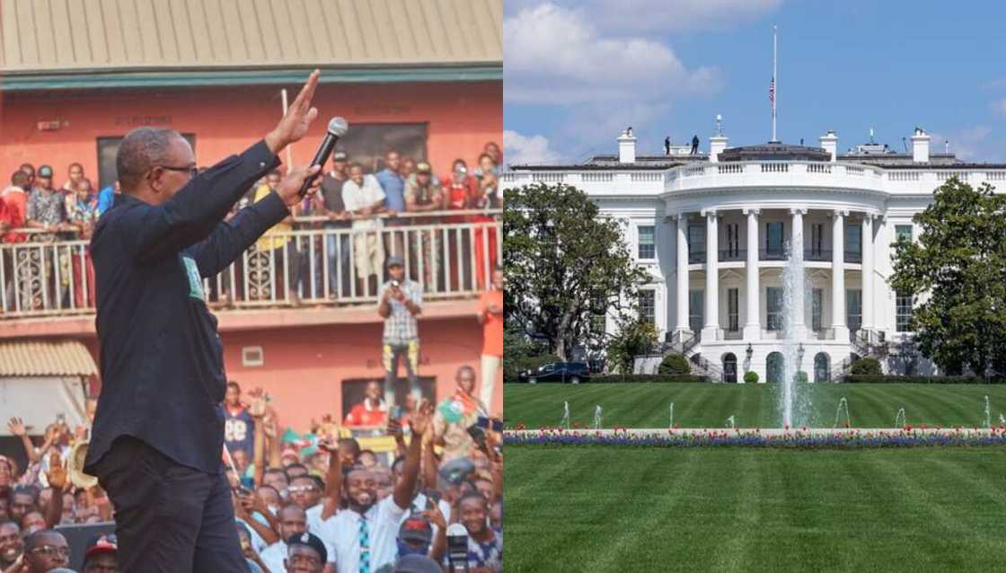 Peter Obi, White House Peter Obi, White House
