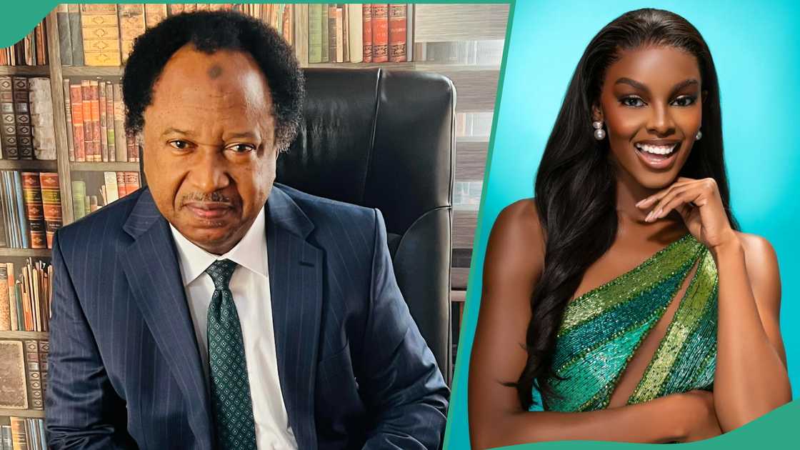  Shehu Sani reacts as Chidimma Adetshina emerges first runner-up