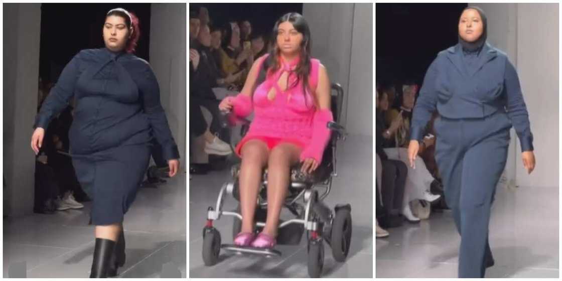 Diverse models Diverse models