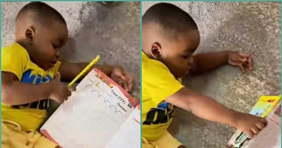 Little boy shuts assignment book, walks out Little boy shuts assignment book, walks out