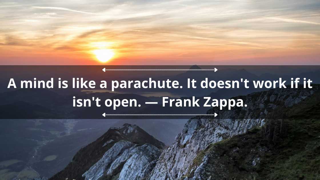Funny mindfulness quotes Funny mindfulness quotes