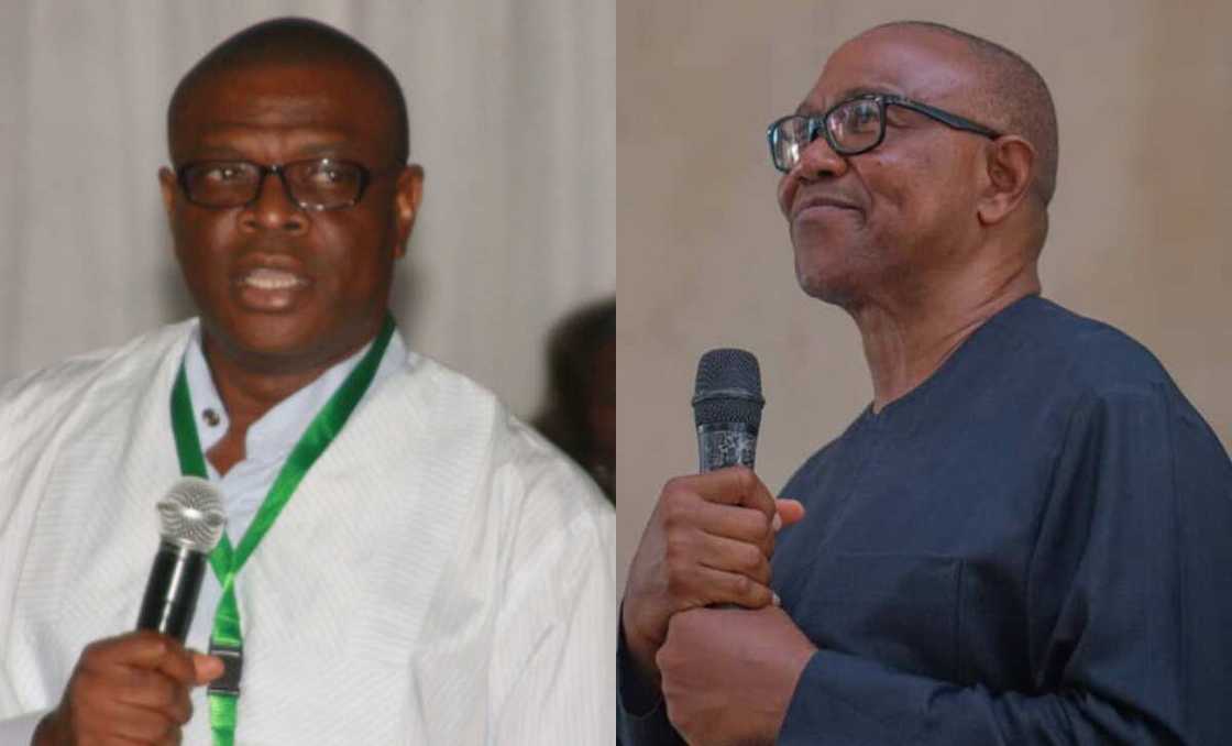 Gaskia, Obi Gaskia, Obi