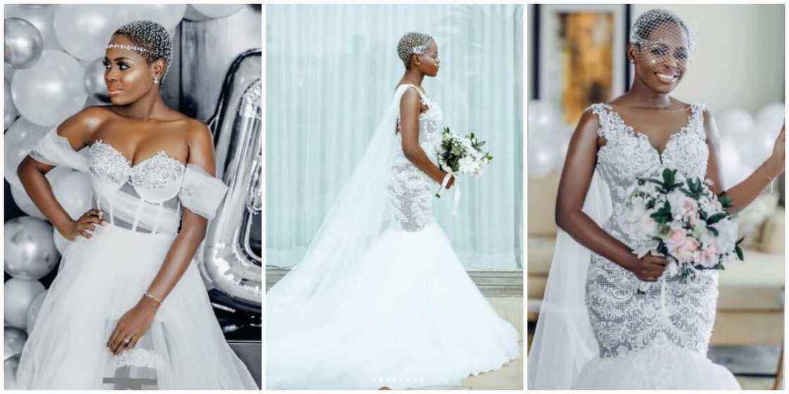 Photos of a bride rocking a lowcut. Photos of a bride rocking a lowcut.