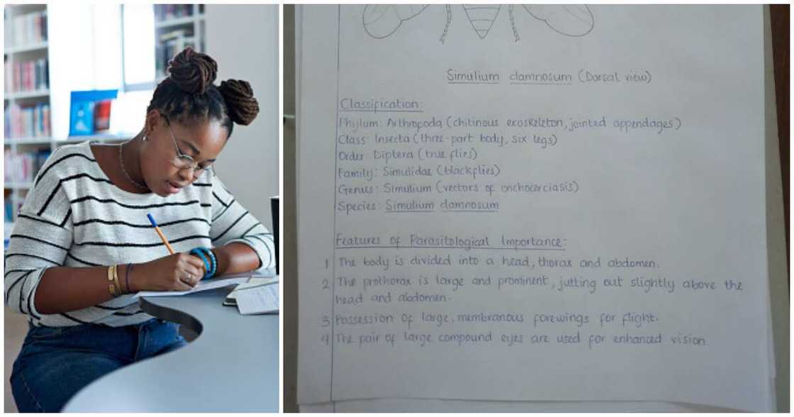 Nigerian lady with fine handwriting, legibel and neat handwriting Nigerian lady with fine handwriting, legibel and neat handwriting