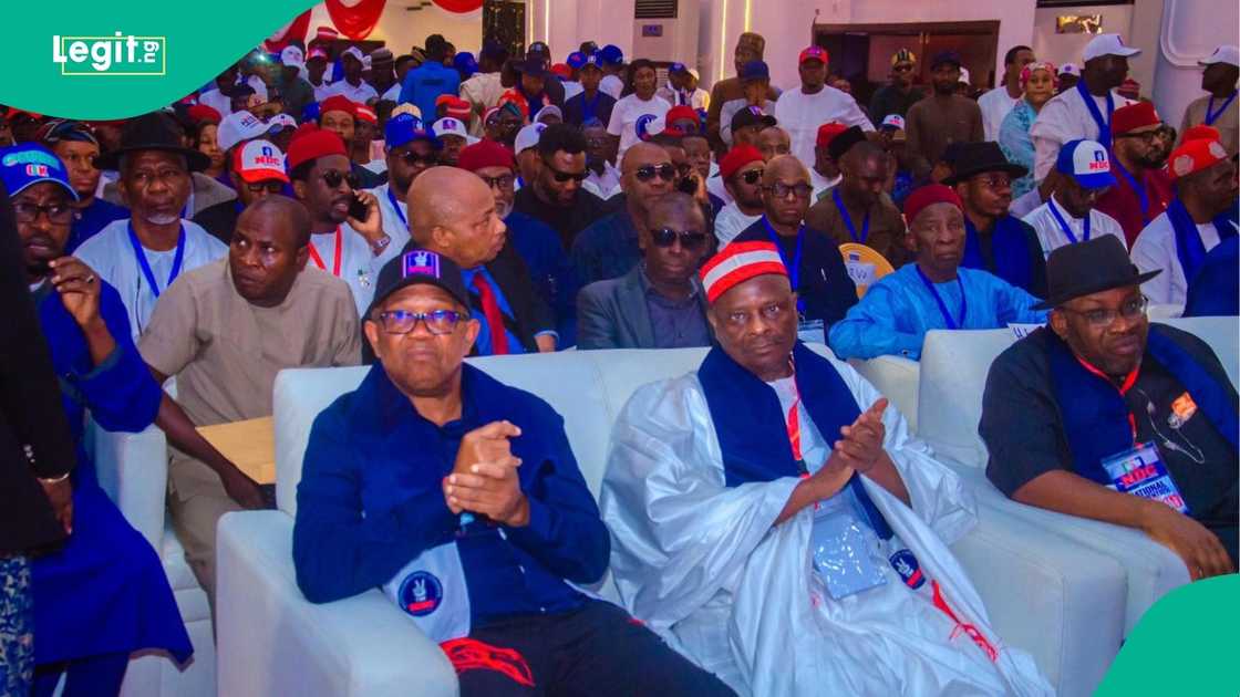 Crowd of political supporters at the NDC convention in Abuja during speeches and chants