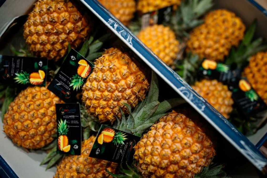 Pineapple leaves are being turned into trainers Pineapple leaves are being turned into trainers