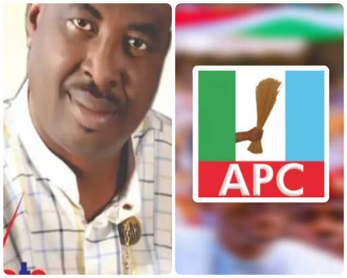 Golden Chioma. Golden Chioma.