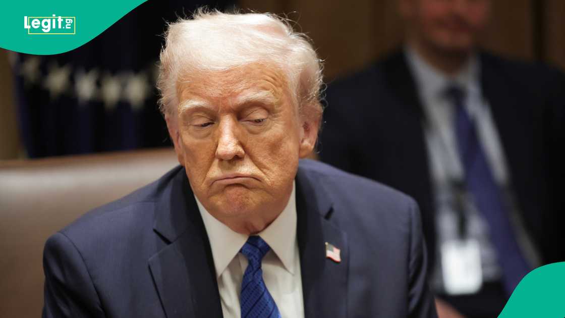 Donald Trump proposes new travel restrictions Donald Trump proposes new travel restrictions