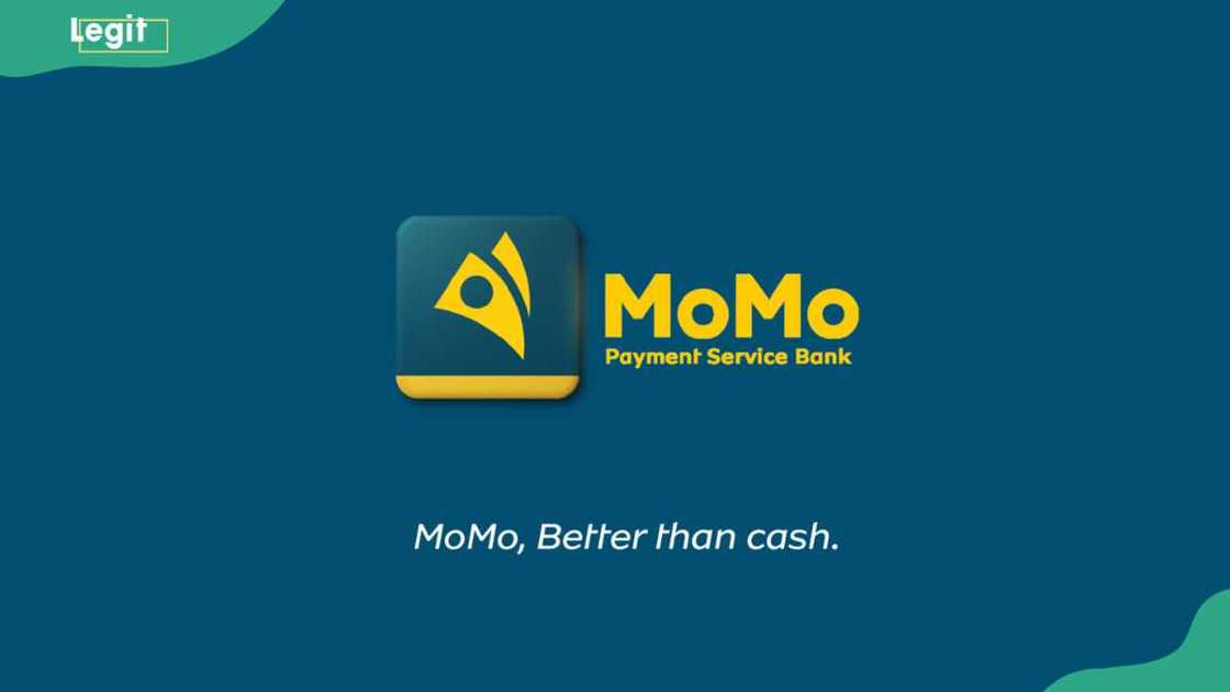 The MoMo logo