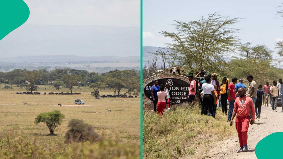 Boy spends 5 days in lions park